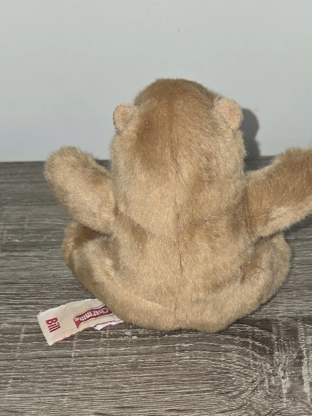 Charmin Plush 2005 Little Teddy Bear Bill 5.5